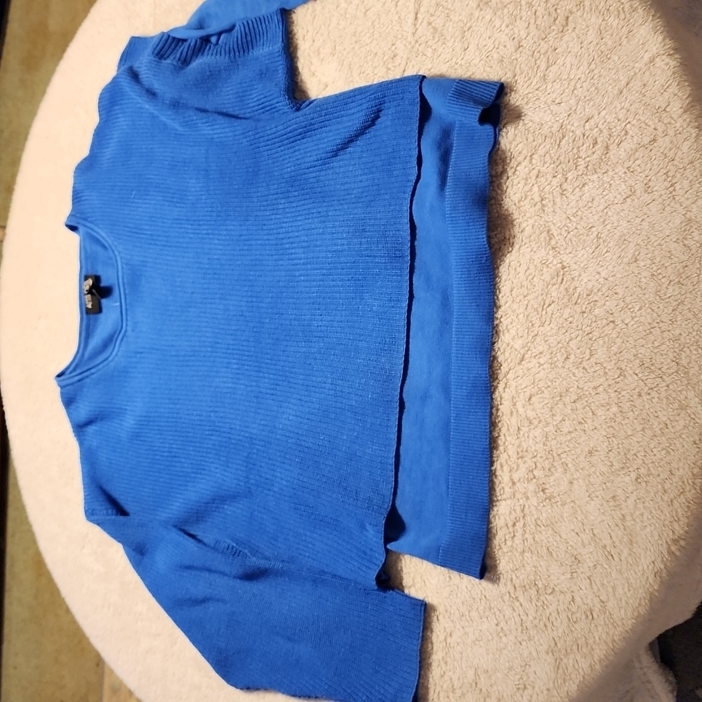 ATTITUDES BY Renee  blue sweater